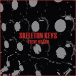 STEVE ROACH | Skeleton Keys Sessions 2005-2015