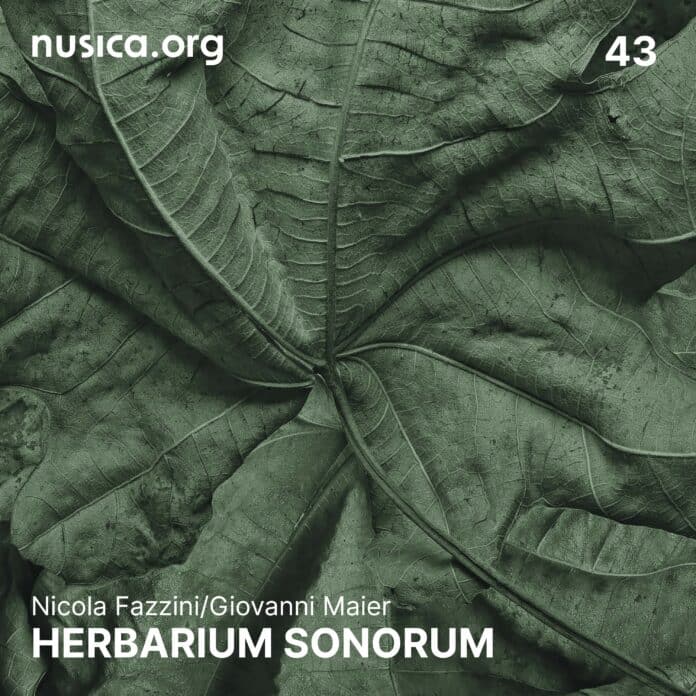 43 nusica_Album_Fazzini_Maier.ai Copertina del disco Herbarium Sonorum di Nicola Fazzini e Giovanni Maier