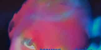 FONTAINES D.C. | Dopamine Chamber: il piacere come ultima illusione